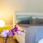Blumenhaus-apartment Apartman Friedrichstadt