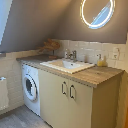 Blumenhaus-apartment * Friedrichstadt